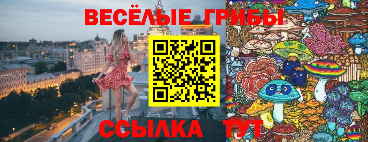 Галлюциногенные грибы GOLDEN TEACHER Заинск