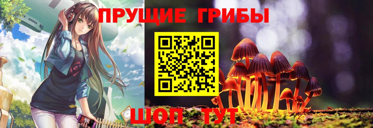 Псилоцибиновые грибы Psilocybine cubensis  Псилоцибиновые грибы Magic Shrooms  Вход с VPN  Заинск 